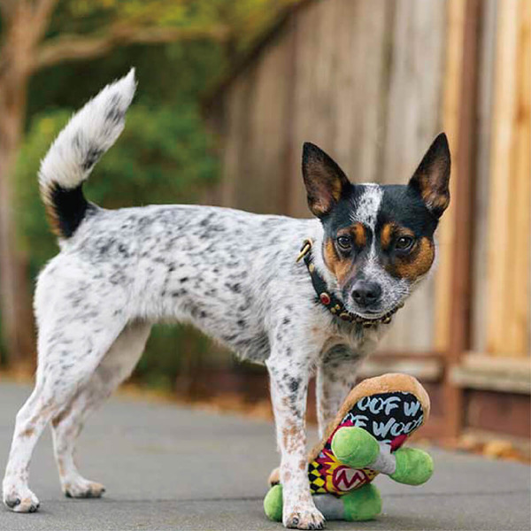 P.L.A.Y. 搖滾90年代 滑板