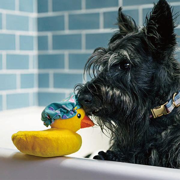 P.L.A.Y. 快樂洗澡趣 浴帽鴨鴨