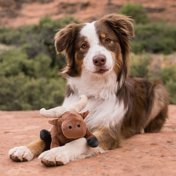 P.L.A.Y. 非洲五巨頭 水牛