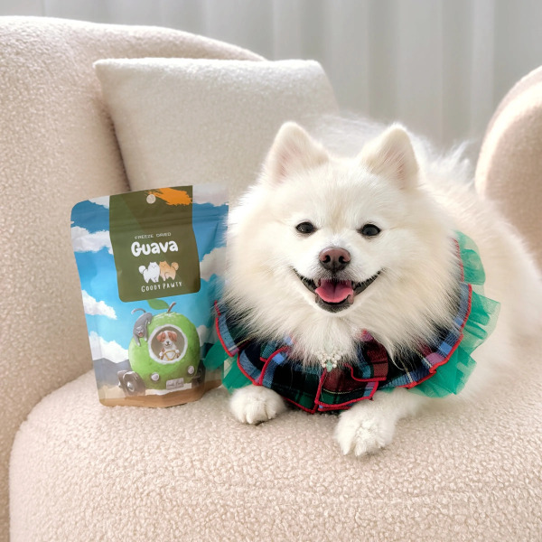 GOODY PAWTY 芭樂凍乾 20g