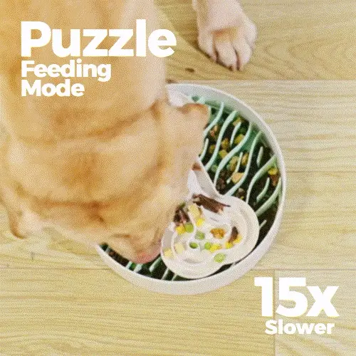 Puzzle Feeder 多功能環保慢食碗