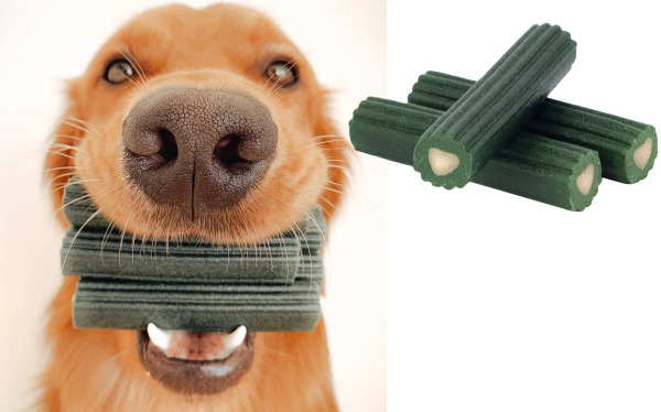 ARK 天然牙膏酵素潔牙骨