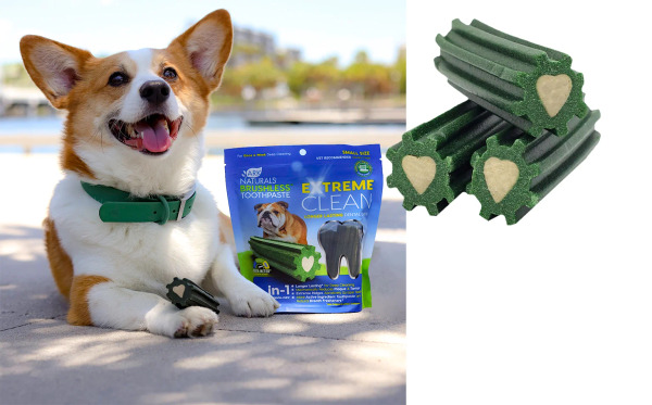 ARK 天然牙膏酵素潔牙骨 超潔淨款