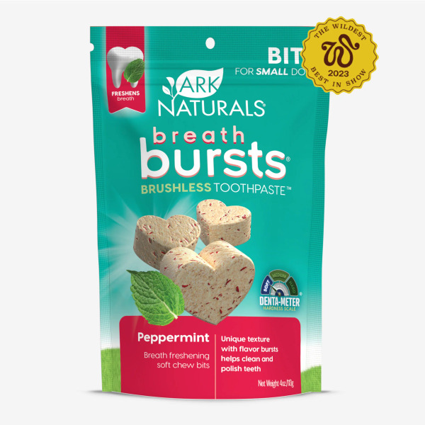 ARK 天然牙膏酵素潔牙骨 口腔清新款