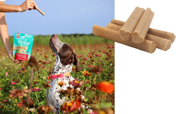 ARK 天然牙膏酵素潔牙骨 口腔清新款