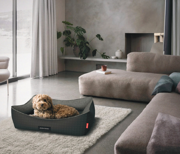 EzyDog 二合一 Smart 散熱記憶寵物床