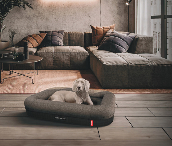 EzyDog 二合一 Calm Elite 舒壓散熱記憶寵物床