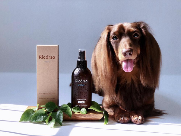 Ricόrso Walkly 足部乾洗噴霧