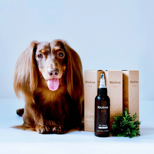 Ricόrso Truly 極淨乾爽潔耳液