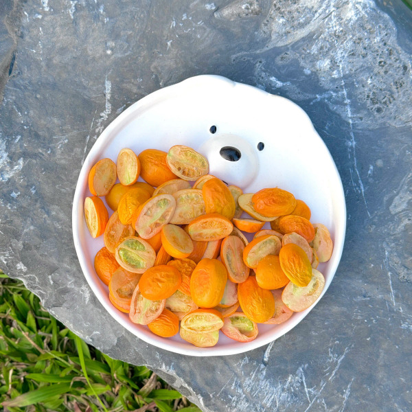 GOODY PAWTY 小番茄 18g