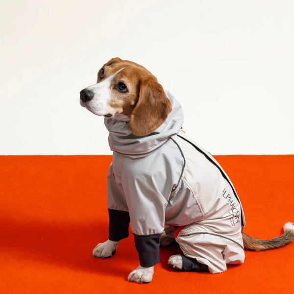 ALPHAICON 雨衣 2024年款