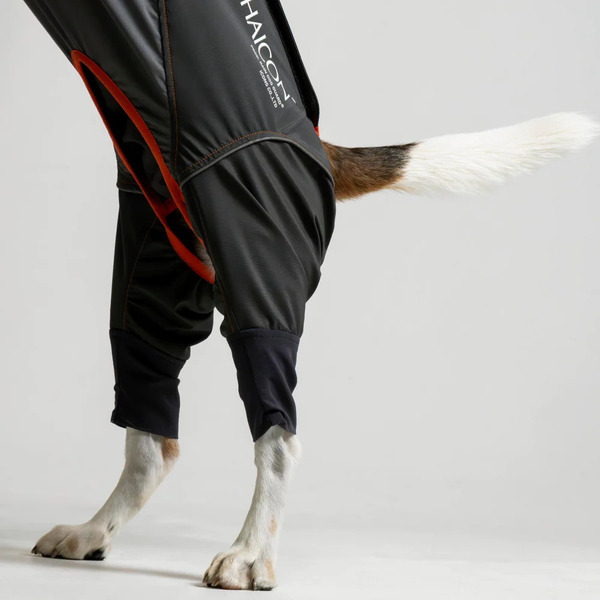 ALPHAICON 雨衣 2024年款