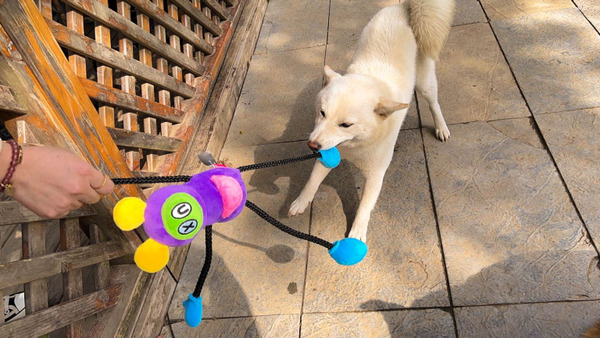 Q-MONSTER 朋克面具