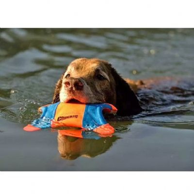 Chuckit 四角飛鼠飛盤