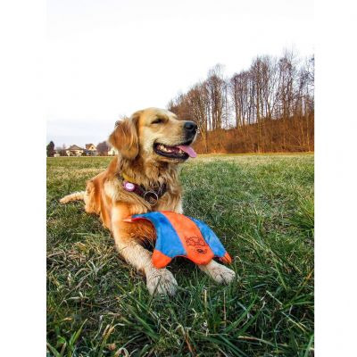 Chuckit 四角飛鼠飛盤