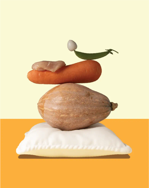 五歲半狗狗主食餐 汪！是親子丼