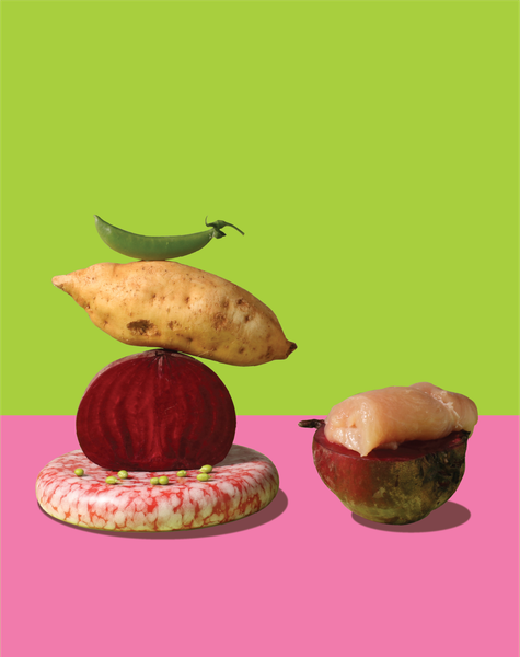 五歲半狗狗主食餐 甜甜紫雞肉