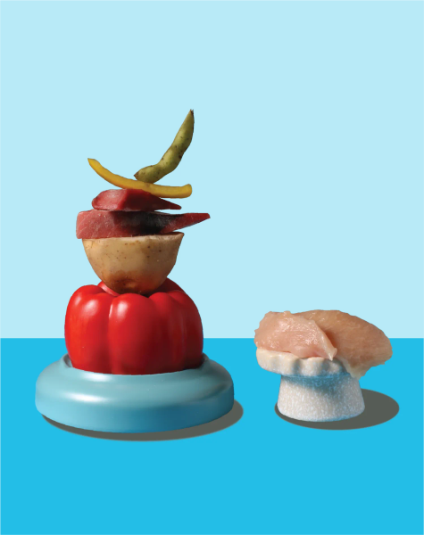 五歲半狗狗主食餐 有雞又有魚