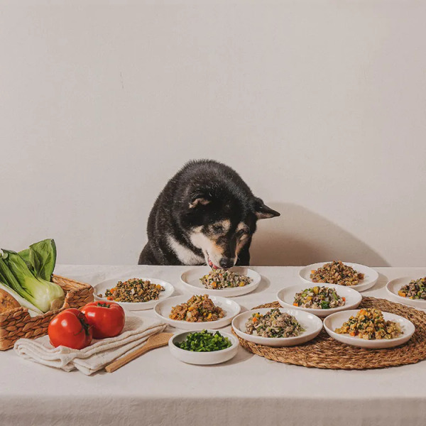 喔吉鮮食餐 魚肉