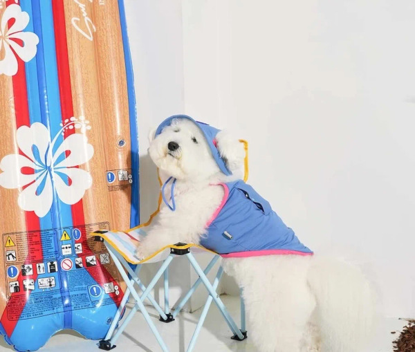 Puppy gallery 涼感漁夫帽