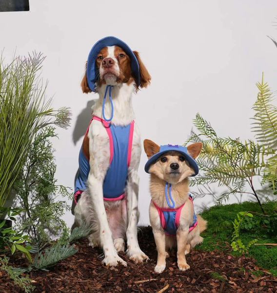 Puppy Gallery 外出涼感背心 2024款