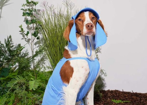 Puppy Gallery 果凍熊包屁衣 2024款