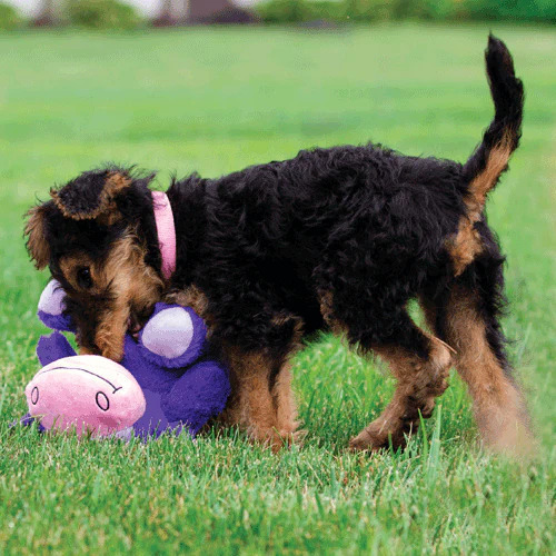 Hero 大肚河馬 響聲玩具