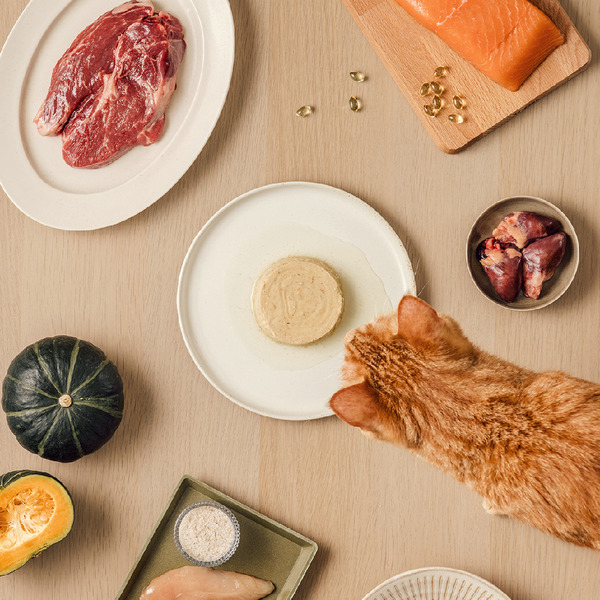 喵皇奴 貓咪主食罐