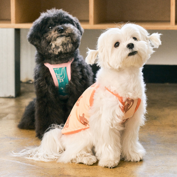 munikund 2024款 防蟲涼感背心