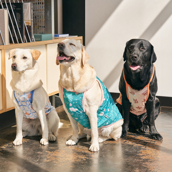 munikund 2024款 防蟲涼感背心