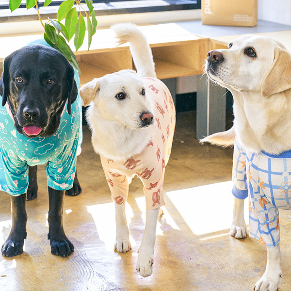 munikund 2024款 防蟲涼感連身衣