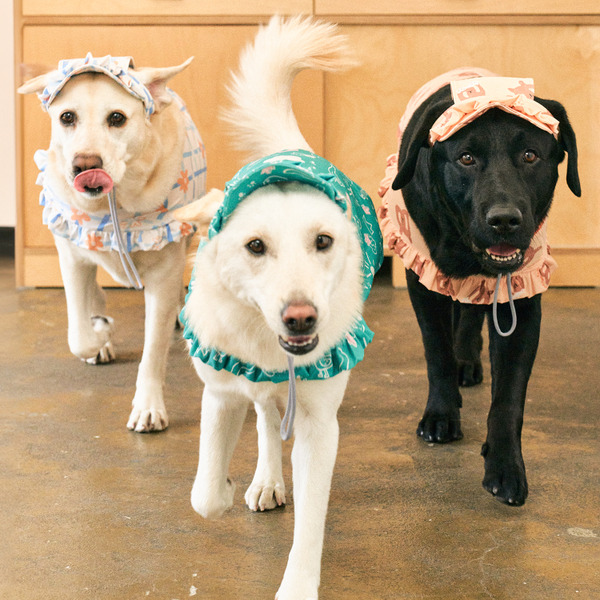 munikund 2024款 防蟲快套涼感衣