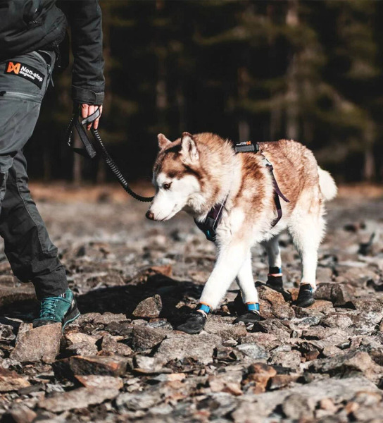 Non-stop PROTECTOR 機能外出鞋