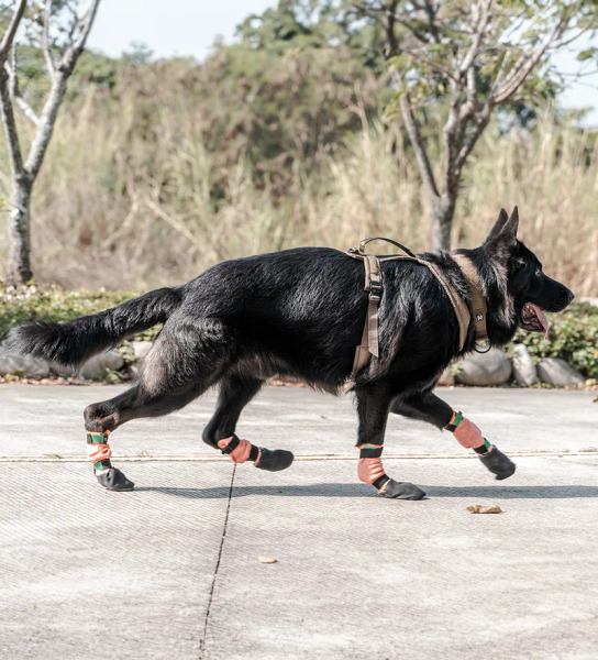 Non-stop PROTECTOR 高筒機能外出鞋