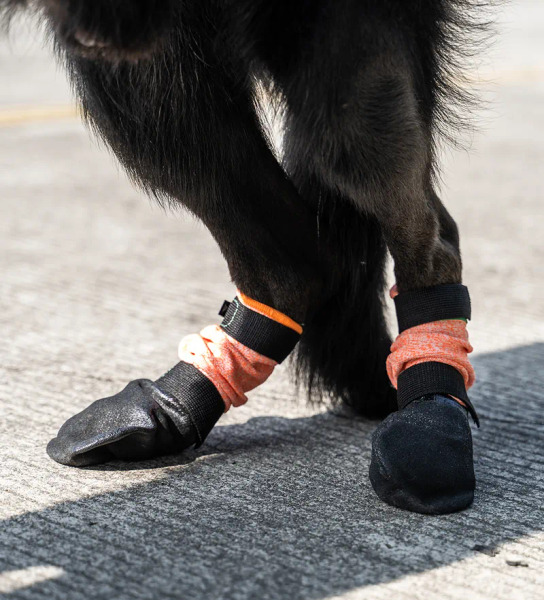 Non-stop PROTECTOR 高筒機能外出鞋