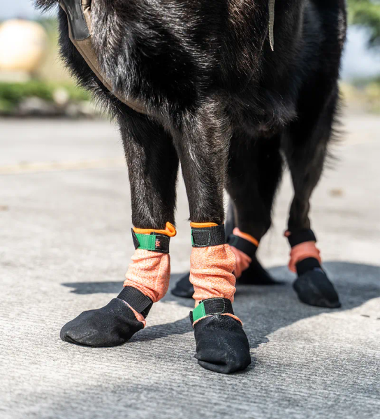 Non-stop PROTECTOR 高筒機能外出鞋