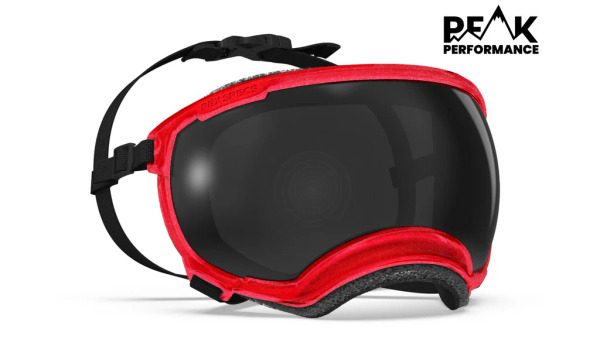 Rex Specs 第二代犬用太陽護目鏡 珠光系列