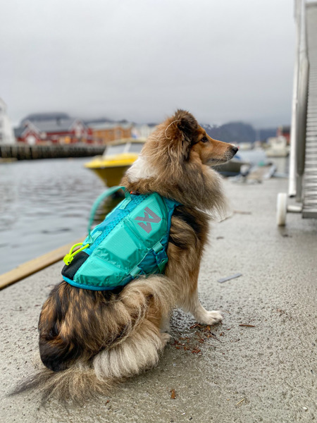 Non-stop Protector 浮水救生衣 綠色