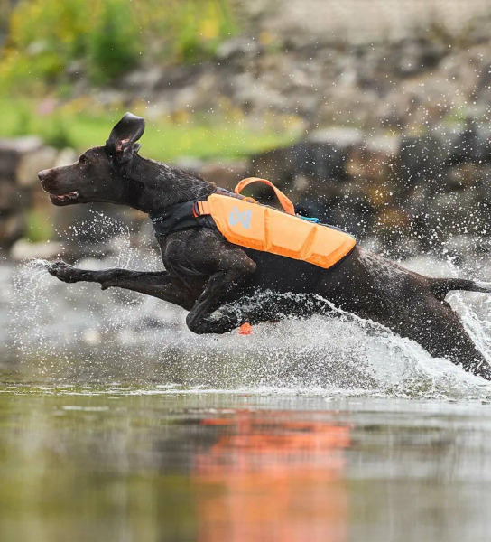 Non-stop Protector 浮水救生衣 橘色