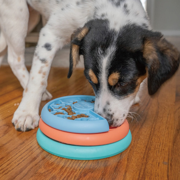 Nina Ottosson 貪吃狗 旋轉慢食盤