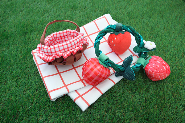 Bailey 採草莓系列