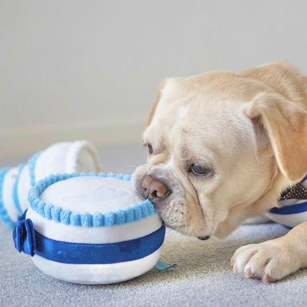 Bailey 小狗要結婚系列