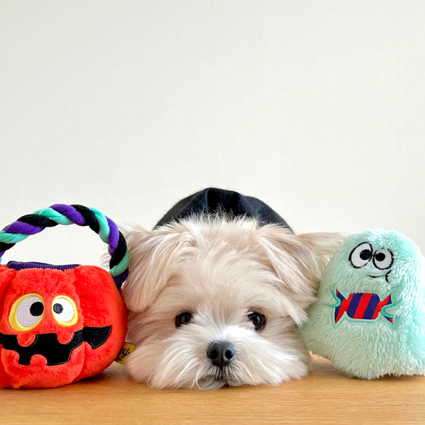 Bailey 萬聖節系列