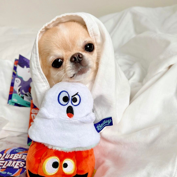 Bailey 萬聖節系列