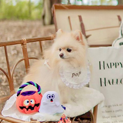 Bailey 萬聖節系列