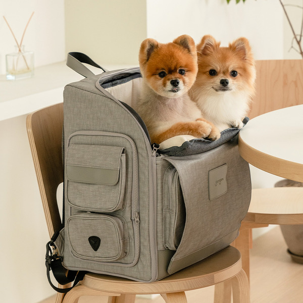 韓國GURUGURU WEGOBAG 寵物外出背包 中