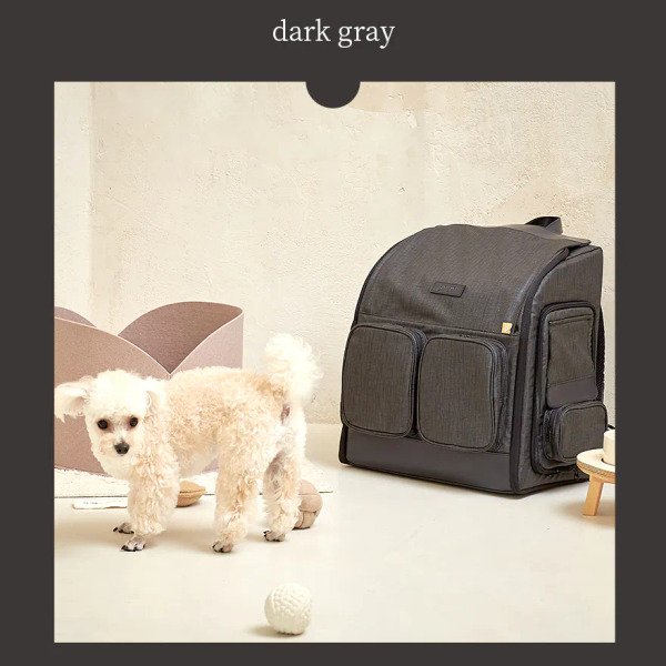 韓國GURUGURU WEGOBAG 寵物外出背包 中