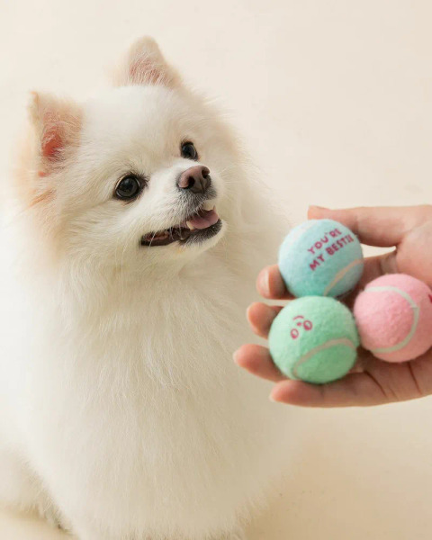 BITE ME 馬卡龍網球(3入)