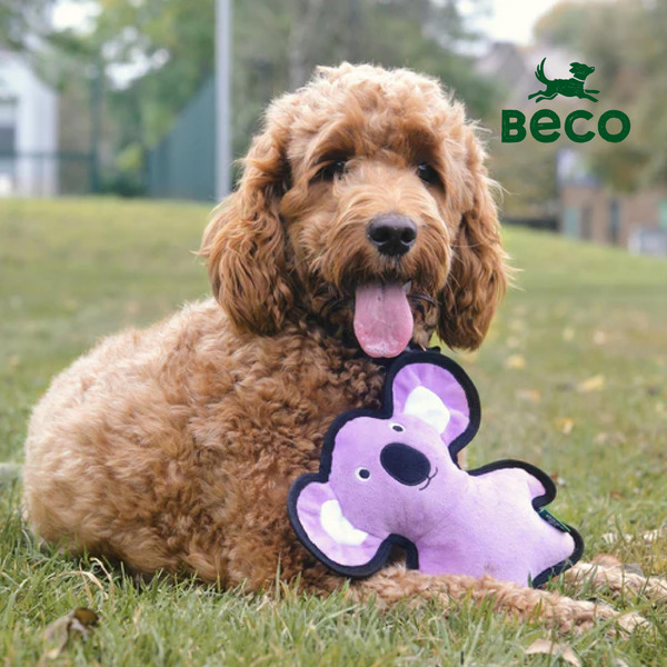 英國 Beco 環保寵物玩具 無尾熊​