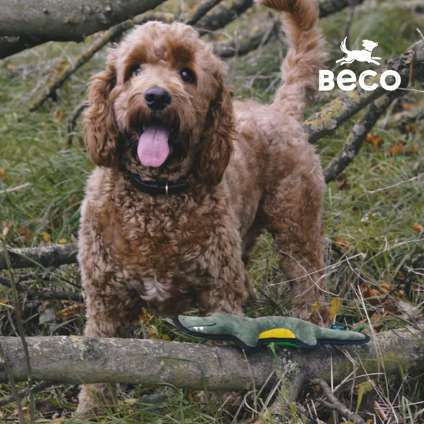 英國 Beco 環保寵物玩具 鱷魚